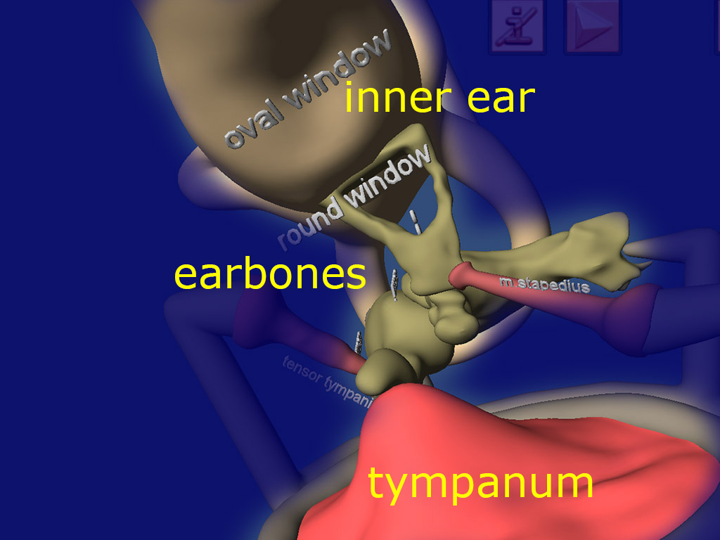 earx15a